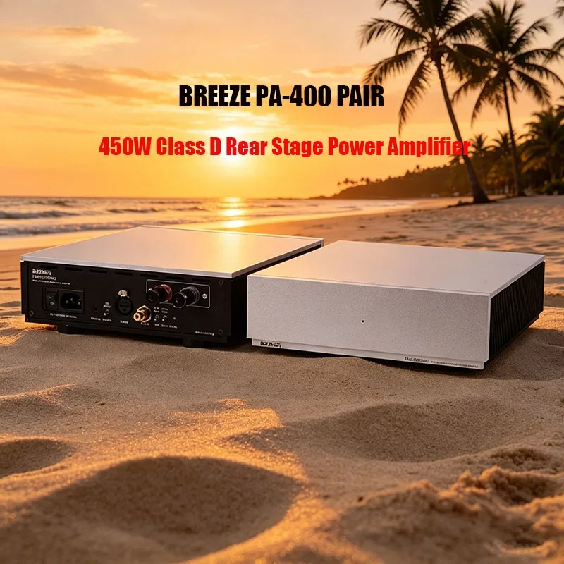 Class D Amplifier - 2026 신소재 Weiliang PA400 모노 클래스